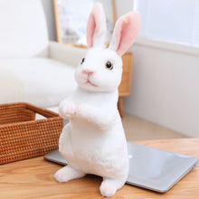 Load image into Gallery viewer, Toy Rabbit for Kids Realistic Soft Bunny Doll Comfort Sleep Ideal Todd