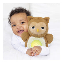Load image into Gallery viewer, Winfun Soothing Sounds Light-Up Owl Plush Toy for Newborns