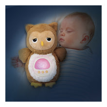 Load image into Gallery viewer, Winfun Soothing Sounds Light-Up Owl Plush Toy for Newborns