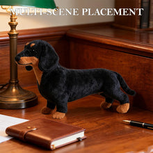 Load image into Gallery viewer, Dachshund Dog Plush Stuffed Animal Sausage Dog Soft Plush for Girls Bi