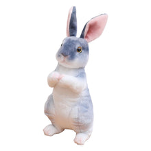 Load image into Gallery viewer, Toy Rabbit for Kids Realistic Soft Bunny Doll Comfort Sleep Ideal Todd