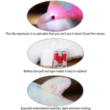 Load image into Gallery viewer, HZRSLY Sparkling Dolphins Doll, Luminous Aquarium Toy Souvenir, Glowin