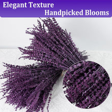 Load image into Gallery viewer, 2 Bundles of 350 Stems Dried Purple Lavender Flowers, 16-17 Inch Prese