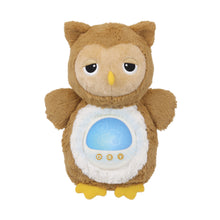 Load image into Gallery viewer, Winfun Soothing Sounds Light-Up Owl Plush Toy for Newborns
