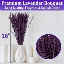 Load image into Gallery viewer, 2 Bundles of 350 Stems Dried Purple Lavender Flowers, 16-17 Inch Prese